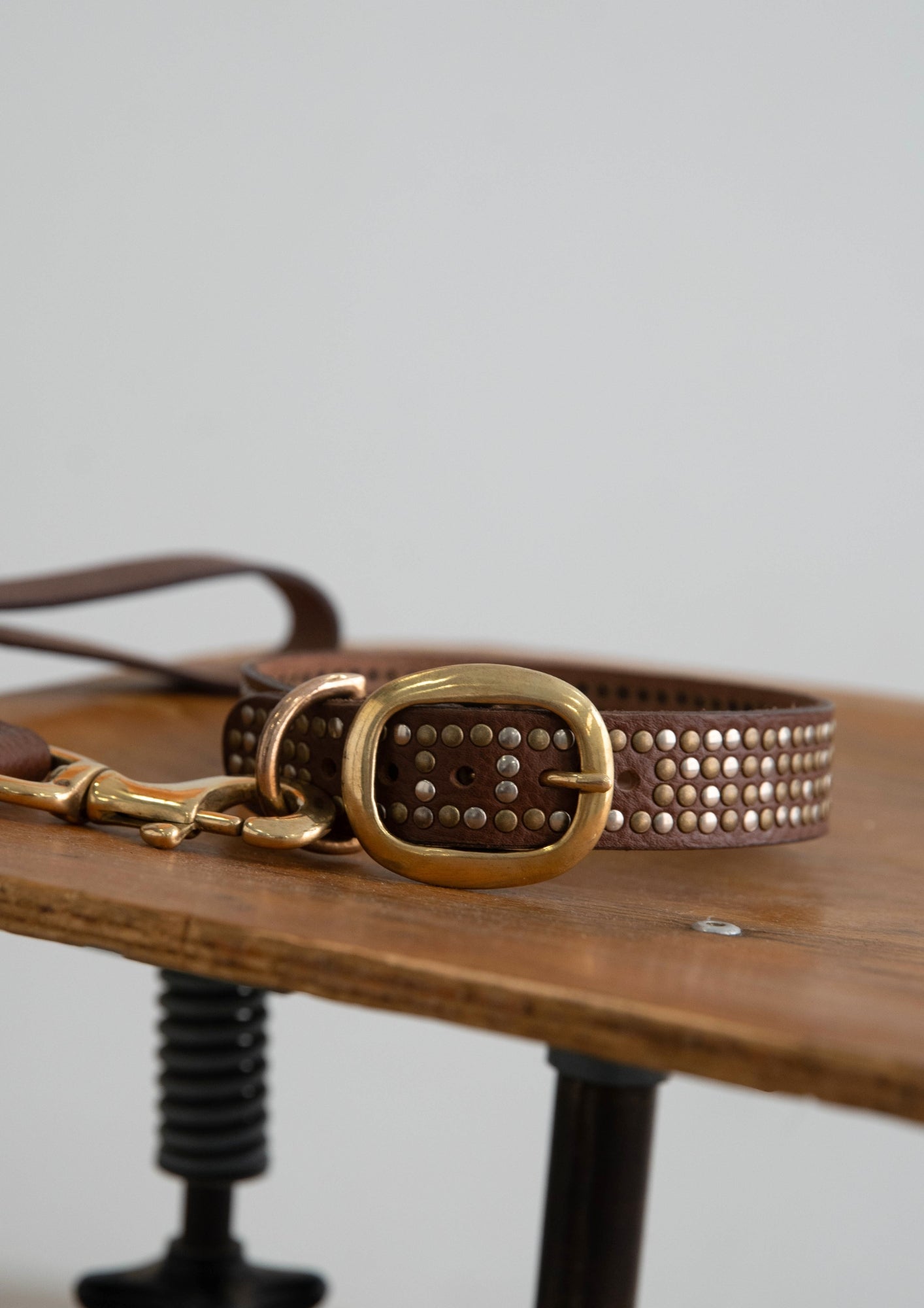 Tribeca - Studded Dog Collar & Leather Leash