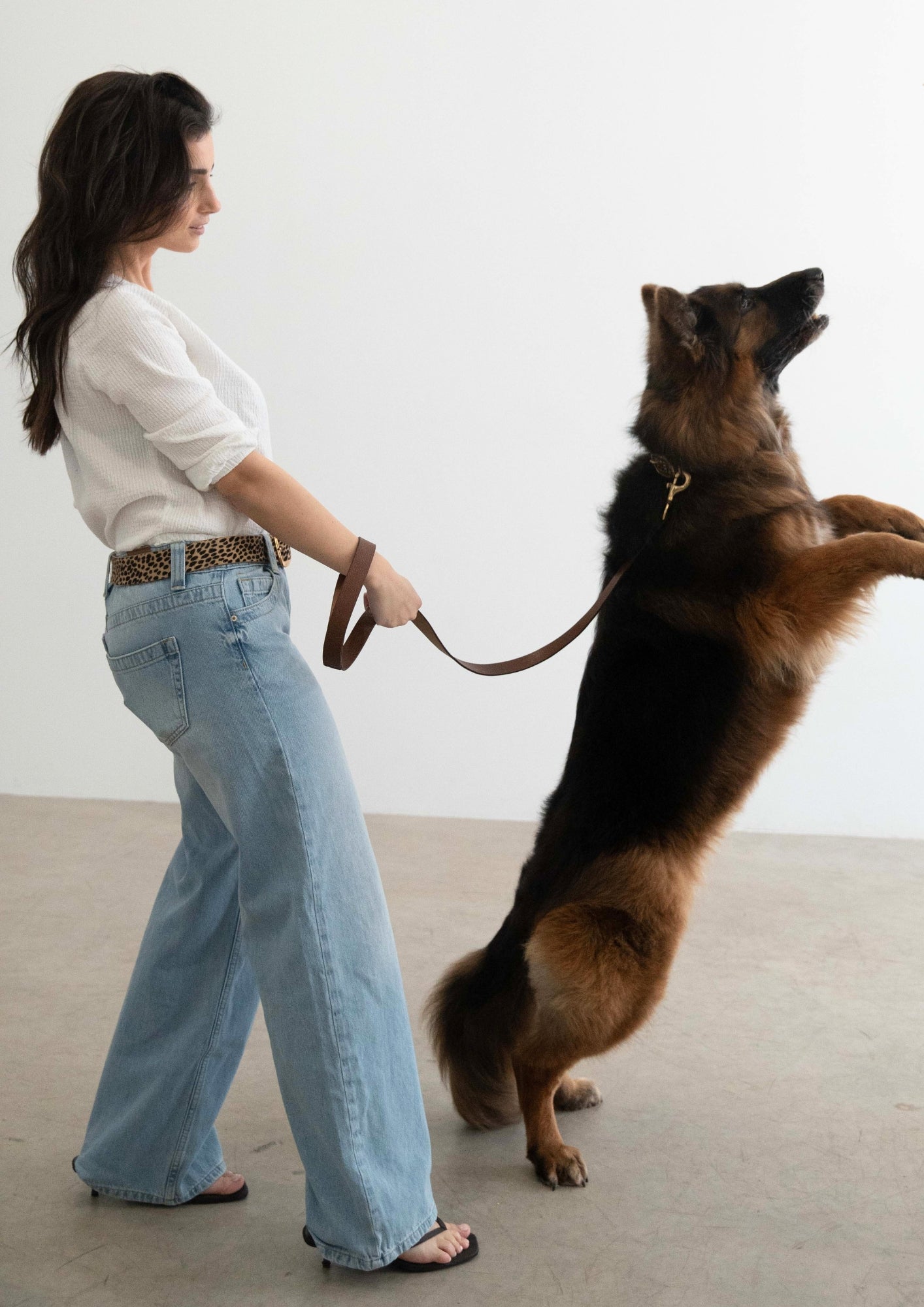 Tribeca - Studded Dog Collar & Leather Leash