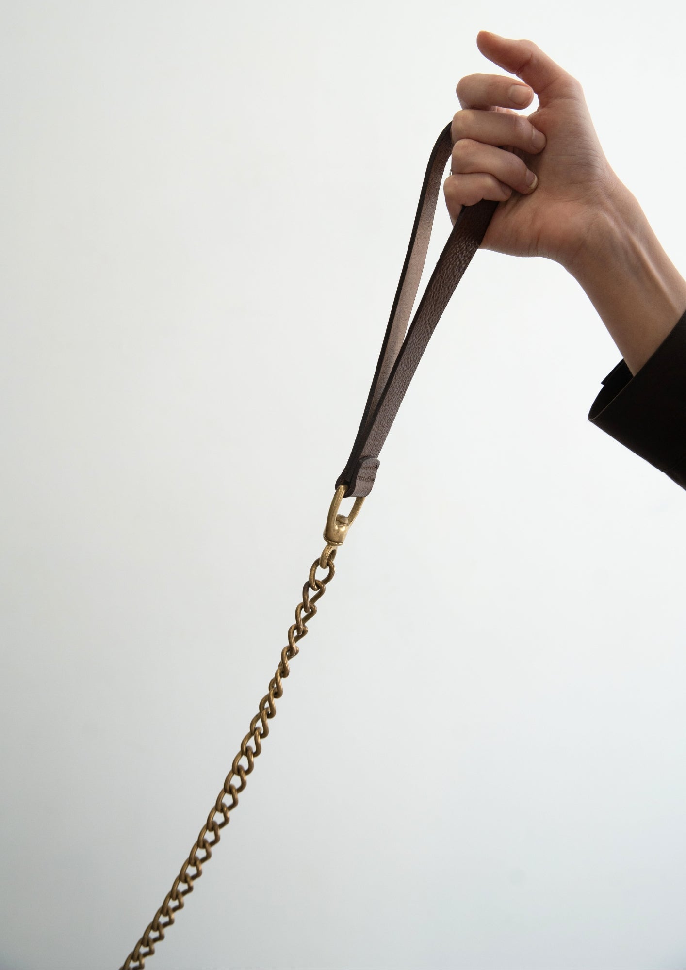 Tribeca - Studded Dog Collar & Brass Chain